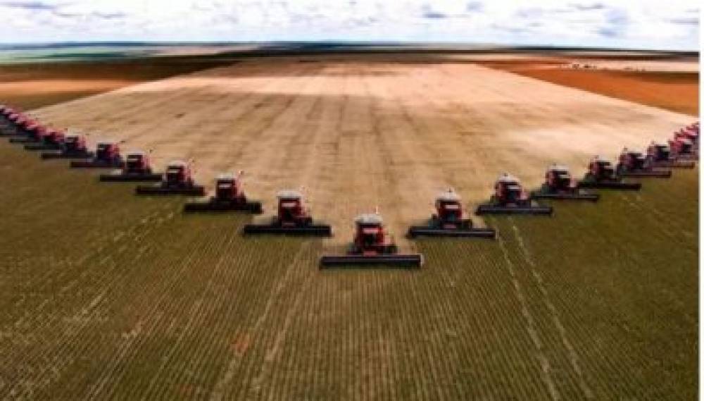 GIGANTE: Grupo Amaggi planeja expandir para Rondônia com compra de terras
