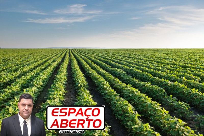 ESPAÇO ABERTO: Agricultura atrai investimentos e faz de Rondônia um excelente lugar para negócios