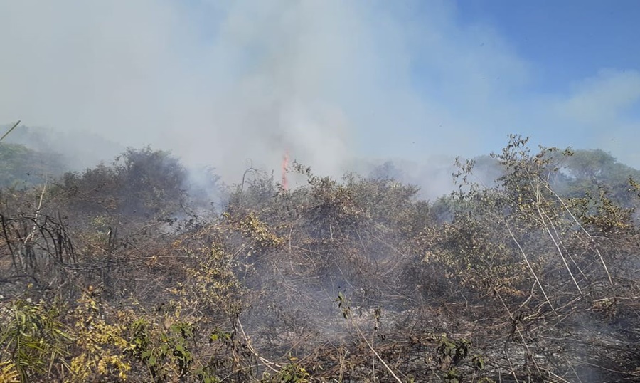 AGONIA: Incêndios no Pantanal motivam estado de emergência em 14 cidades em MS