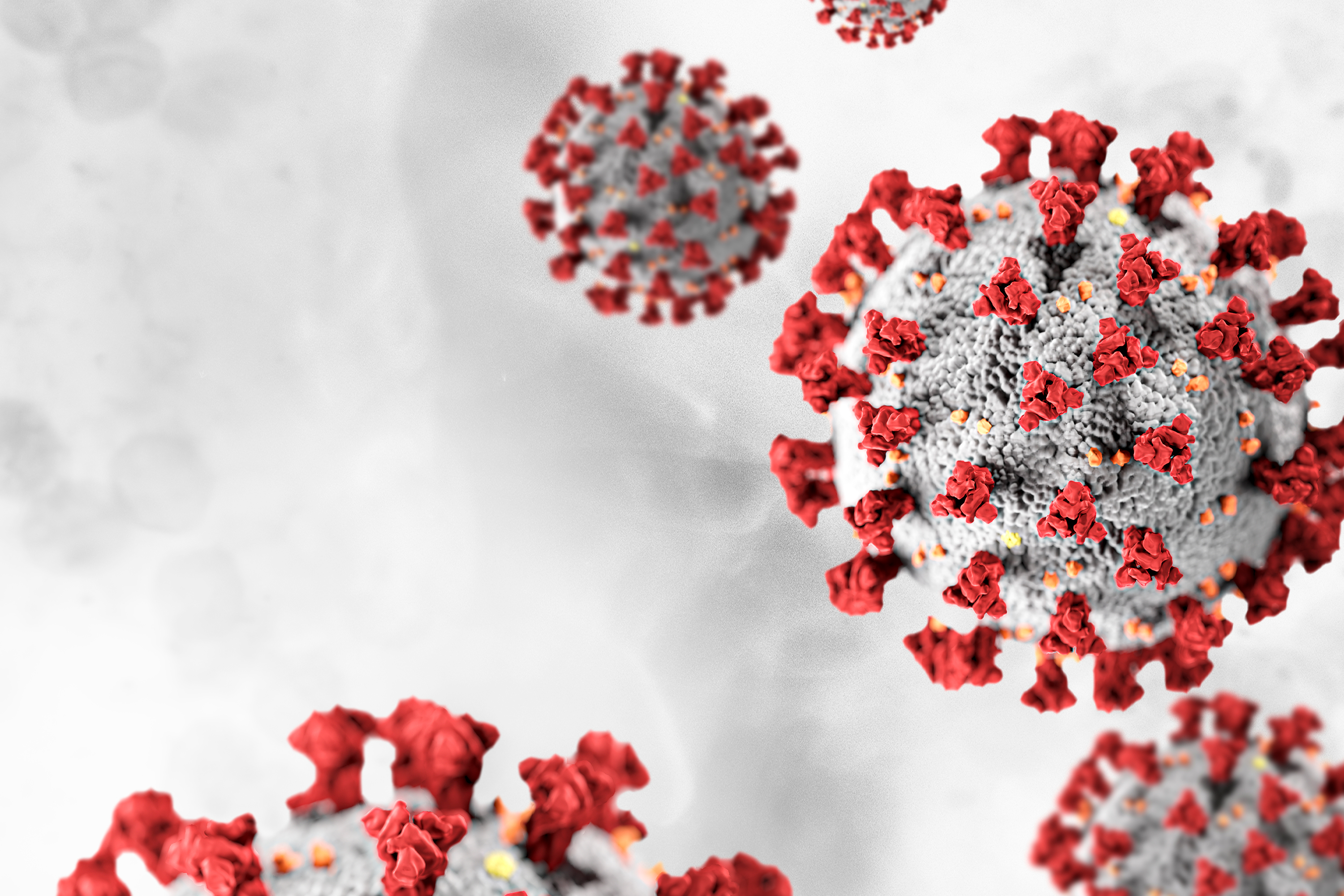 COVID-19: Rondônia tem quatro mortes registradas na quinta-feira (11), diz Agevisa