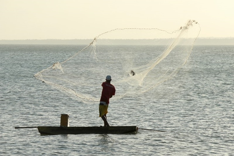 INSFORMAÇÕES: Ministério da Agricultura suspende licenças irregulares de pescadores em RO