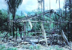 Reserva Biológica de Jaru pode ser palco de uma luta sangrenta 