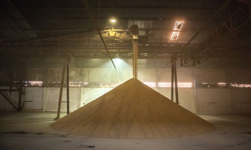 SILO:  Brasil aumentou a armazenagem agrícola em 2021, diz IBGE