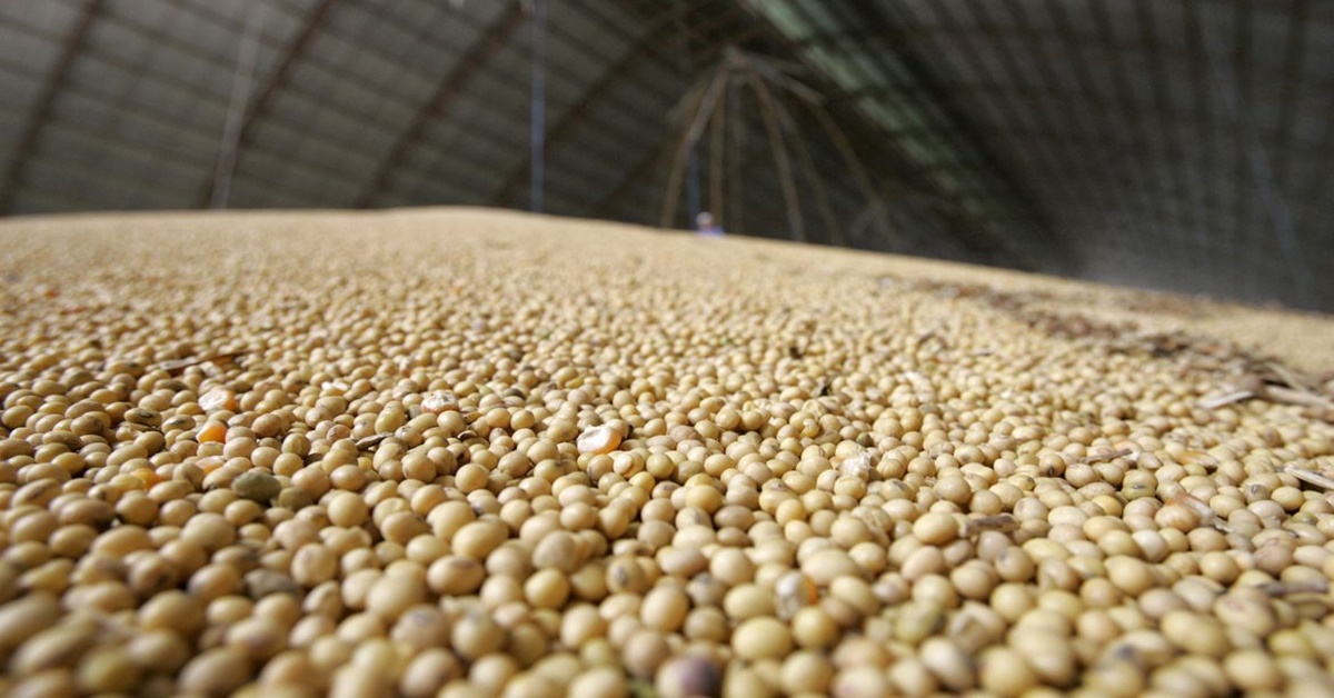 COLHEITA: IBGE prevê aumento de 10% na safra de grãos em 2022 no país