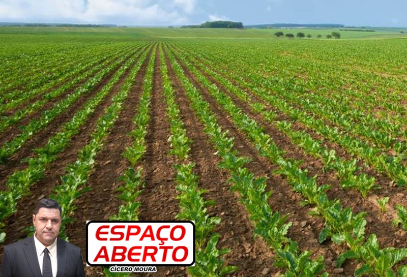 ESPAÇO ABERTO: Primeira queda de temperatura não afetou lavouras de Rondônia