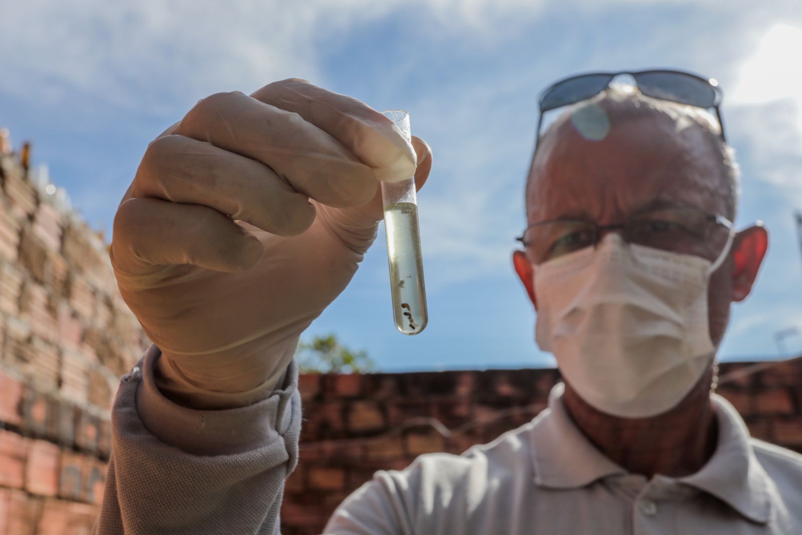 ALERTA: Chuvas aumentam os casos de dengue em Porto Velho