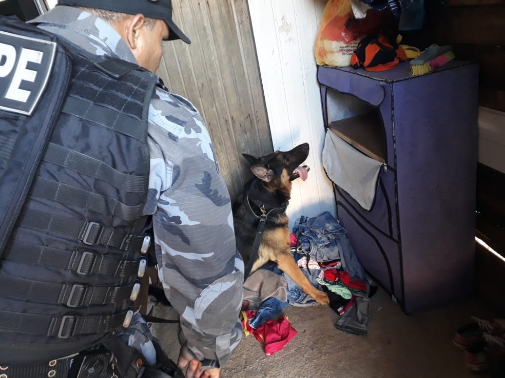 FAREJANDO: Canil do BOPE é acionado e apenados são presos por tráfico de drogas 