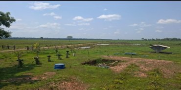 Fazenda a venda 963 hec / 85 km na BR-319 