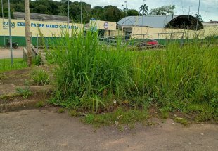 ZELADORIA: Matagal perto da Escola Estadual Padre Mário Castagna atrai pragas em Porto Velho 