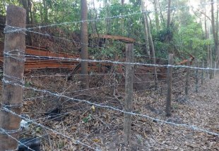 BATE-ESTAQUE: MPF apura denúncia de invasão em área tombada da Estrada de Ferro Madeira-Mamoré