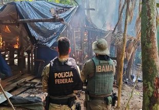 FORTUNA: ​PF e Ibama deflagram operação contra o garimpo em Terra Indígena entre RO e MT