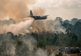 QUEIMADAS: Oito suspeitos são identificados por incêndios no Amazonas; fumaça chega a RO