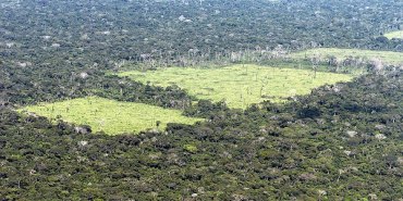 ÚNICO CONTRA: Marcos Rocha se recusou a assinar carta sobre preservação da Amazônia 