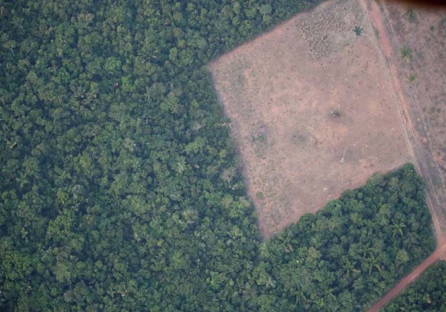 MEIO AMBIENTE: MapBiomas aponta redução de 70% no desmatamento em RO em 2023