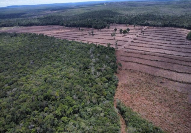 O CRIME COMPENSA: Nova lei em Rondônia perdoa até 95% de dívidas de desmatadores