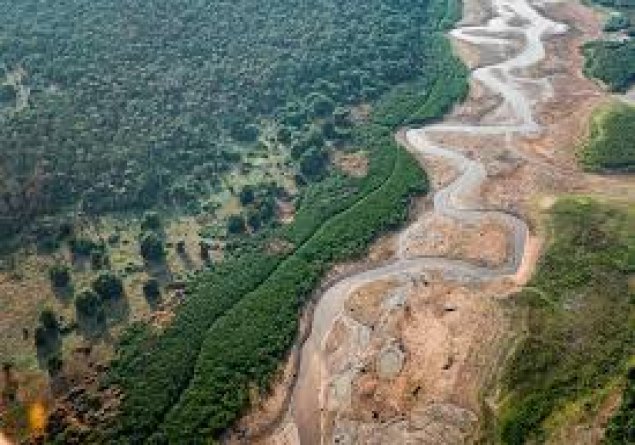 EFEITO CLIMÁTICO: El Niño deve se consolidar em maio causando alerta de seca intensa na Amazônia 