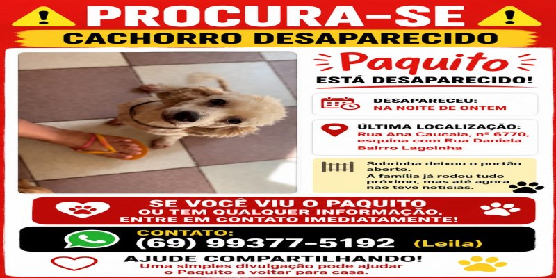 AU-AU: Família pede ajuda para encontrar cão desaparecido no bairro Lagoinha