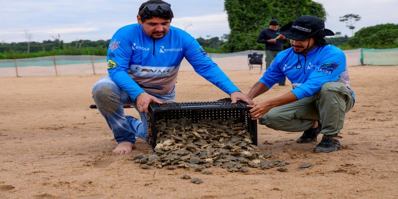 ENERGIA E MEIO AMBIENTE: O equilíbrio necessário para o desenvolvimento de Rondônia