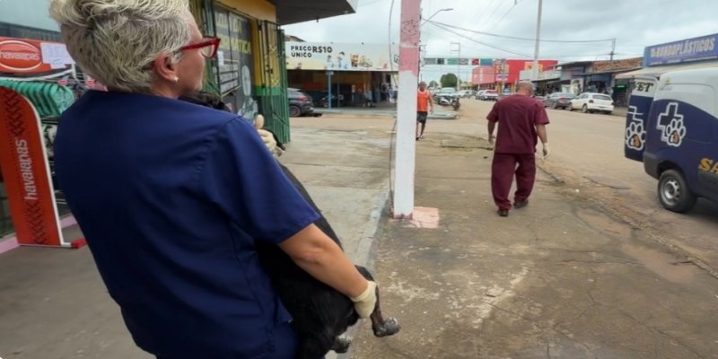 PROTEÇÃO: Prefeitura resgata cachorro abandonado e retoma tratamento