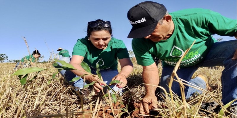 COP 30: Sicredi apresenta diversas iniciativas ligadas à sustentabilidade e inclusão