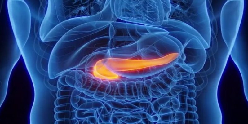 COMPORTAMENTOS: Gastroenterologista aponta hábitos que prejudicam o pâncreas