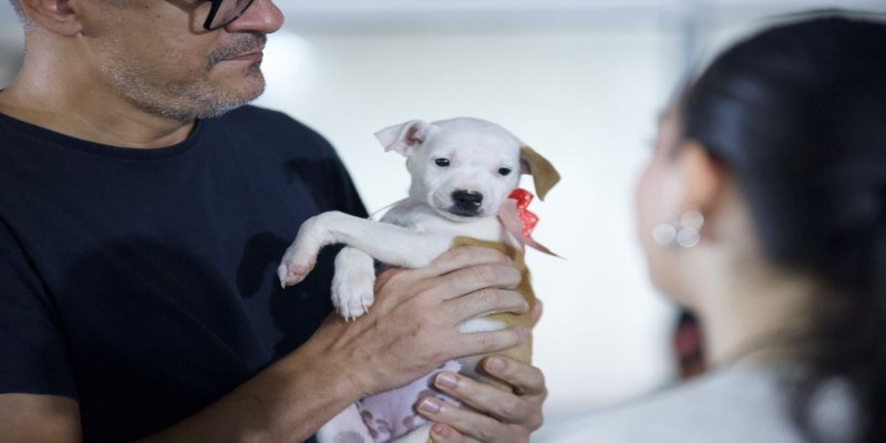 EVENTO: Primeiro dia do EmpreendePet lota Espaço Alternativo