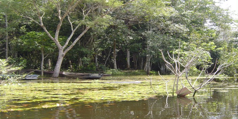 EXTRATIVISTAS: Incra dispõe R$ 2,9 milhões em créditos produtivos para povos da floresta