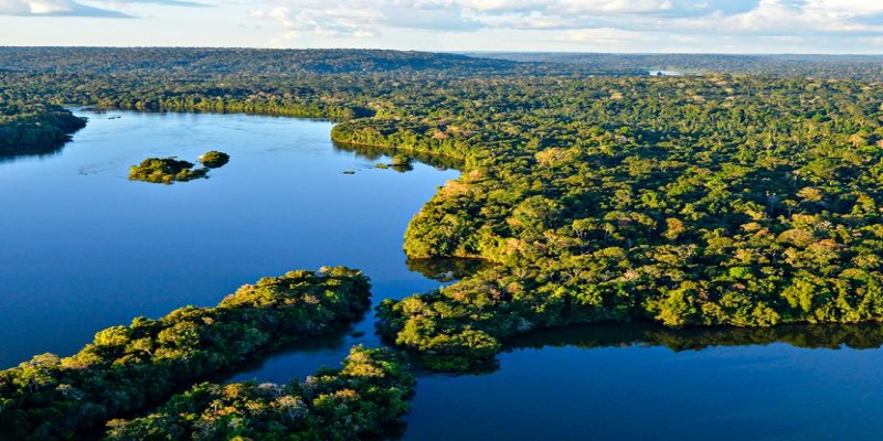 MAPBIOMAS: Fragmentação da vegetação nativa cresceu 163% em 38 anos
