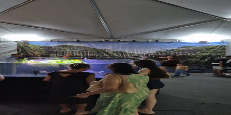 BIODIVERSIDADE: Exposição “Nossos Peixes” encanta público da Agrotec e valoriza a Amazônia